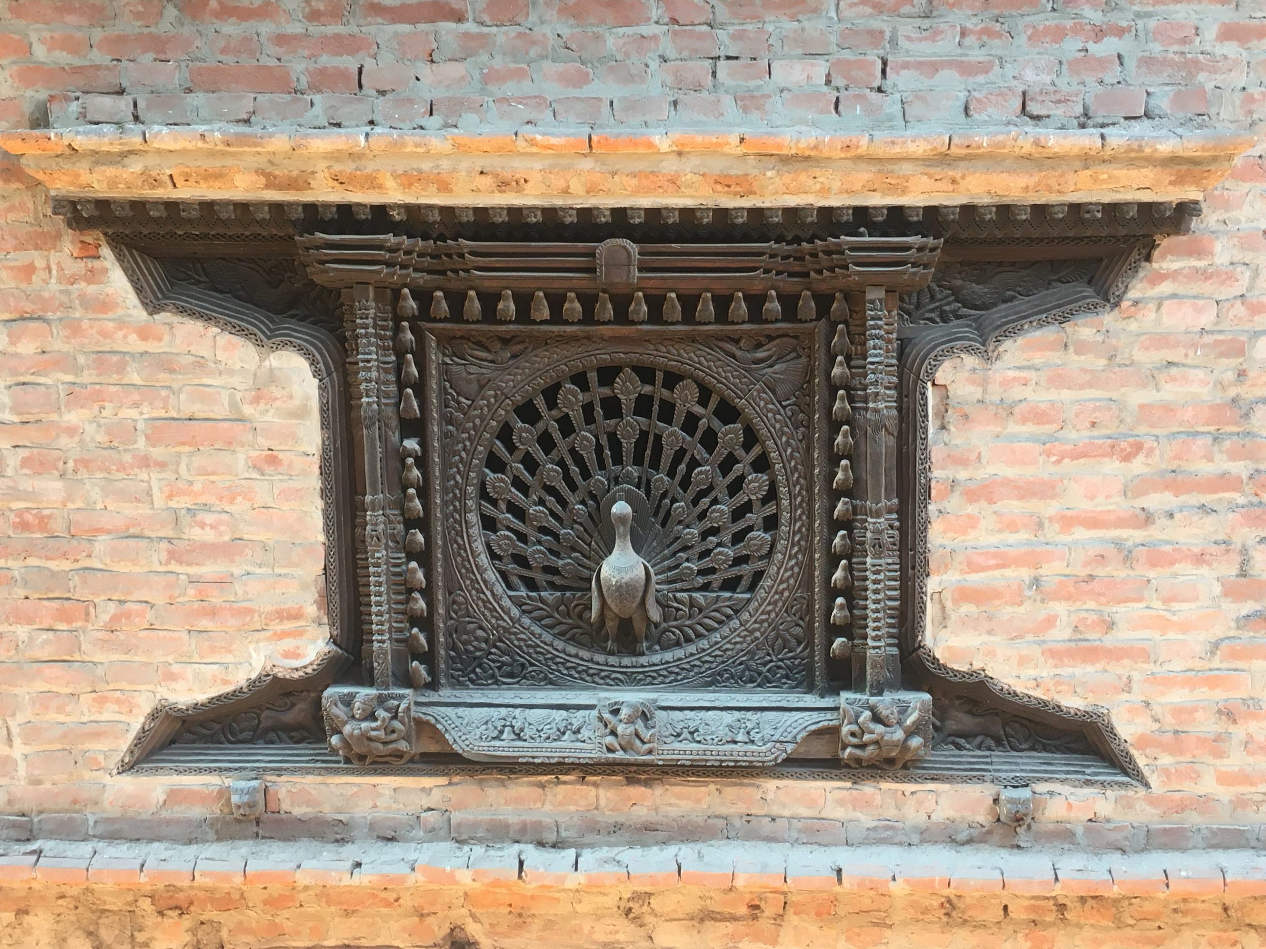 Peacock Window